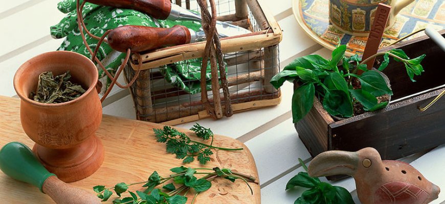 Новости про - Народные средства при болезни печени, чем лечить и как снять боль, не выходя из дома