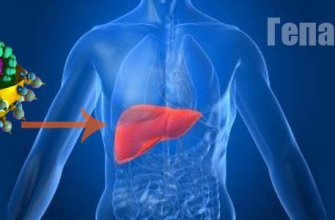Новости про - Гепатит ц - вирус, первые признаки, можно ли вылечить HCV полностью и навсегда