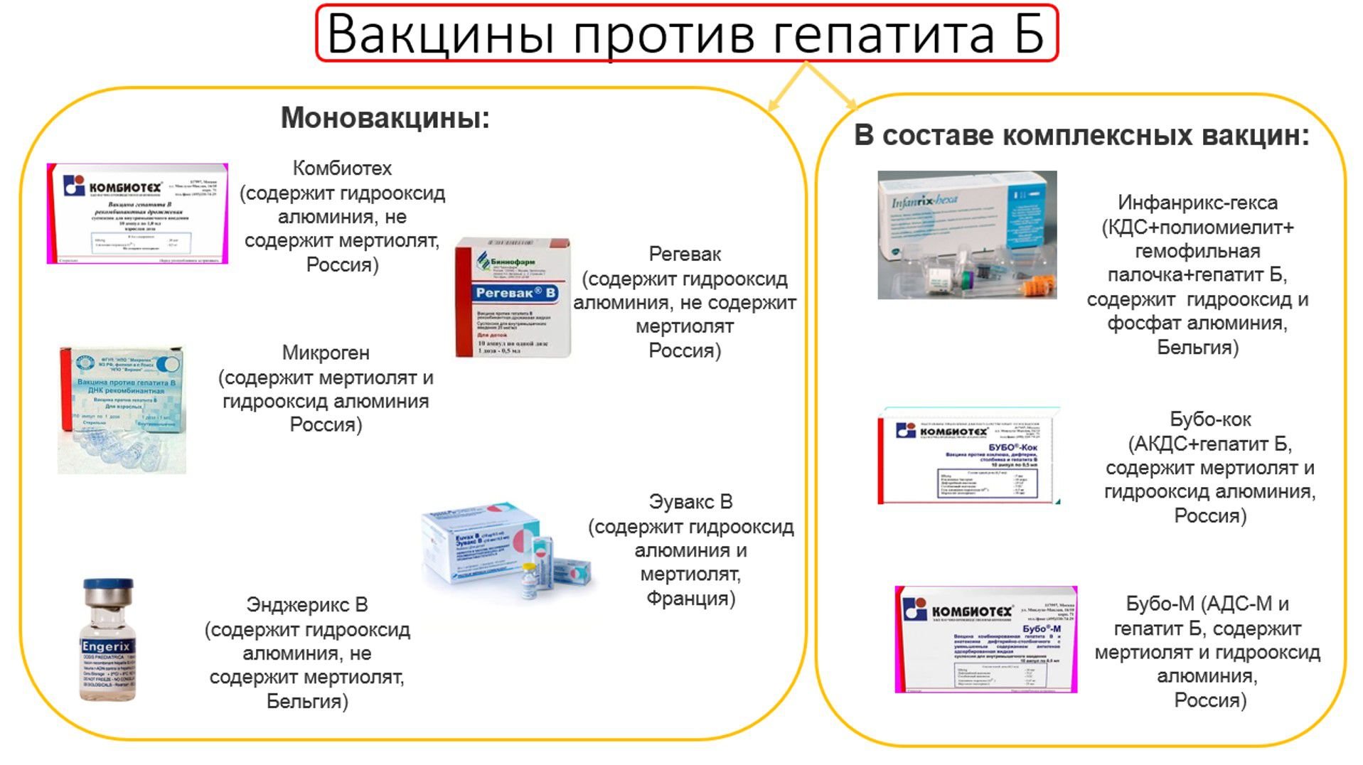 Новости про - Вакцина от гепатита в 1 месяц, куда ее делают, реакция организма и когда делать вторую
